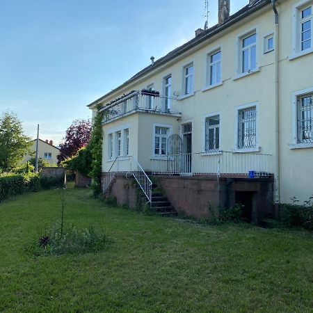 Schloss Hainfeld Luaran gambar