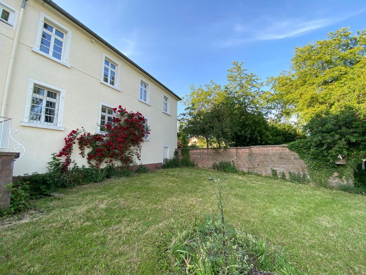 Schloss Hainfeld Luaran gambar