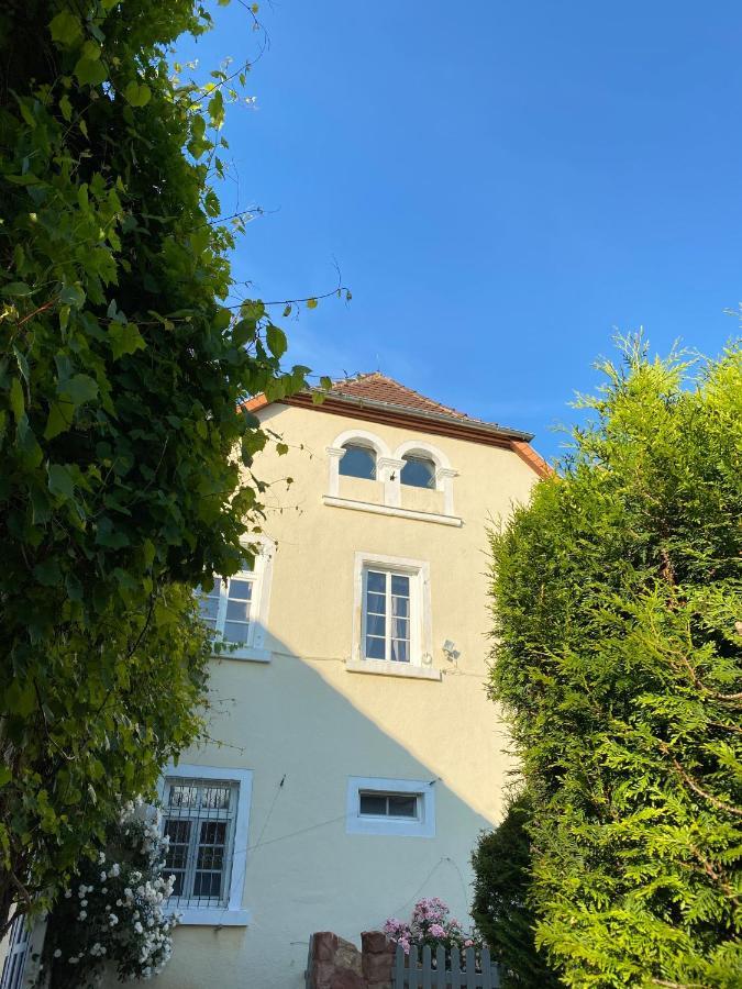 Schloss Hainfeld Luaran gambar